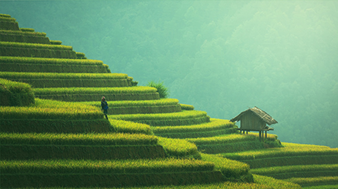 意昂娱乐(中国)体育有限公司官网