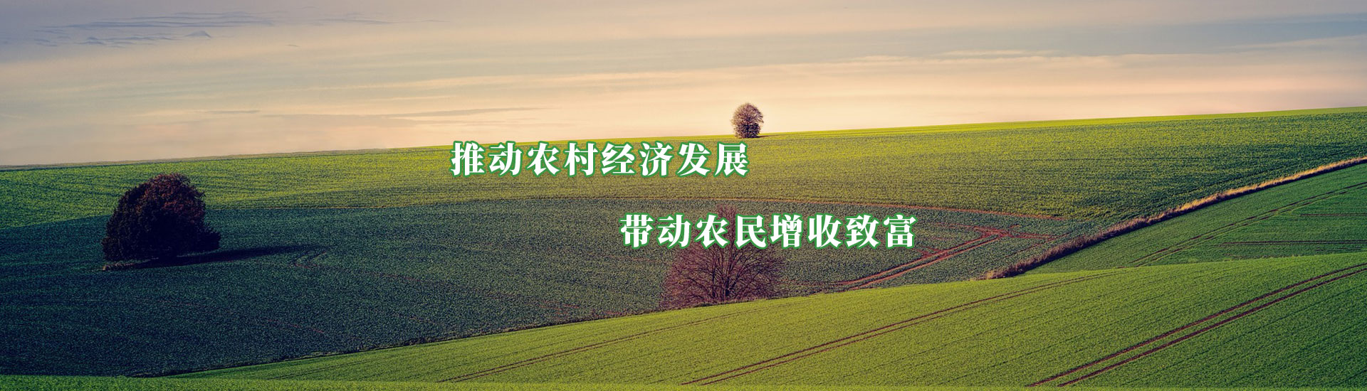 意昂娱乐(中国)体育有限公司官网