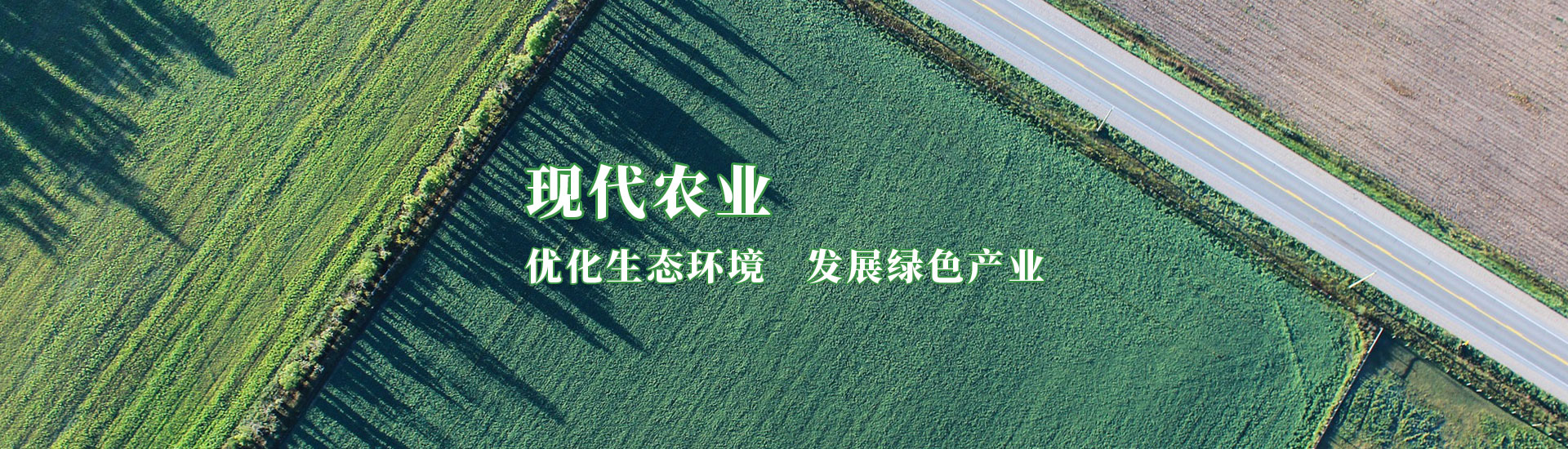 意昂娱乐(中国)体育有限公司官网