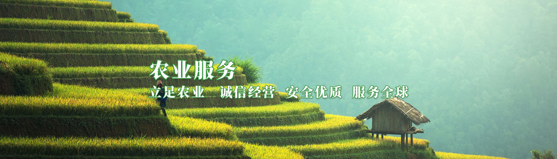 意昂娱乐(中国)体育有限公司官网