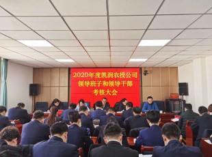意昂娱乐 召开2020年度向导班子和向导干部审核大会
