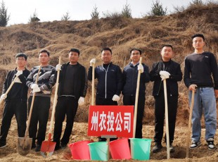 意昂娱乐加入2021年春季义务植树活动