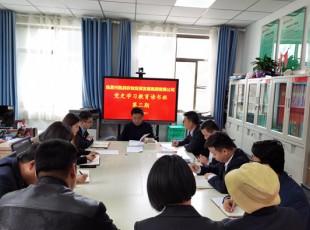 意昂娱乐  举行党史学习教育第三期念书班